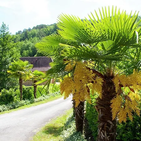 Casa vacanze Le Dordogne Mauzens-et-Miremont